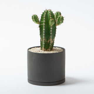 Photo of KINTO PLANT POT 191 135mm ( ) [ KINTO ] [ Plant Pots ]