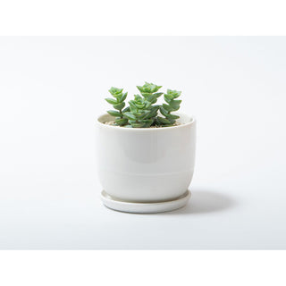 Photo of KINTO PLANT POT 193 110mm ( ) [ KINTO ] [ Plant Pots ]