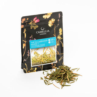 Photo of Camellia Sinensis - Labrador Tea (25g) ( ) [ Camellia Sinensis ] [ Tea ]