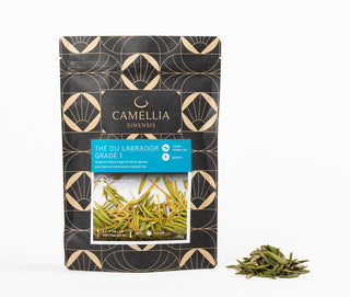 Photo of Camellia Sinensis Labrador Tea ( Default Title ) [ Camellia Sinensis ] [ Tea ]