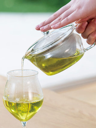 Photo of HARIO Heatproof Tea Pot (450ml/15oz) ( ) [ HARIO ] [ Tea Equipment ]
