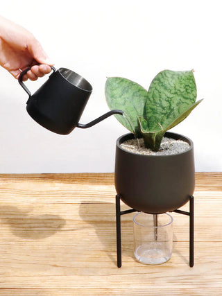 Photo of KINTO PLANT POT 211 (135mm/5.4in) ( ) [ KINTO ] [ Plant Pots ]