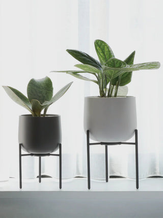 Photo of KINTO PLANT POT 211 (160mm/6.4in) ( ) [ KINTO ] [ Plant Pots ]