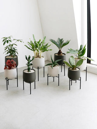 Photo of KINTO PLANT POT 211 (160mm/6.4in) ( ) [ KINTO ] [ Plant Pots ]