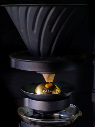 Photo of NUCLEUS Paragon ( ) [ nucleus ] [ Brewing Accessories ]