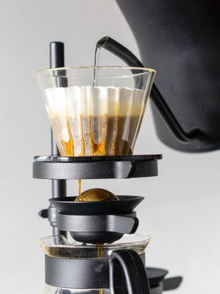 Photo of NUCLEUS Paragon ( ) [ nucleus ] [ Brewing Accessories ]