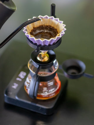 Photo of NUCLEUS Paragon ( ) [ nucleus ] [ Brewing Accessories ]