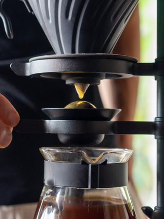 Photo of NUCLEUS Paragon ( ) [ nucleus ] [ Brewing Accessories ]