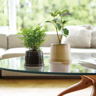 Photo of KINTO PLANT POT 192 125mm ( ) [ KINTO ] [ Plant Pots ]
