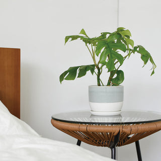 Photo of KINTO PLANT POT 193 110mm ( ) [ KINTO ] [ Plant Pots ]