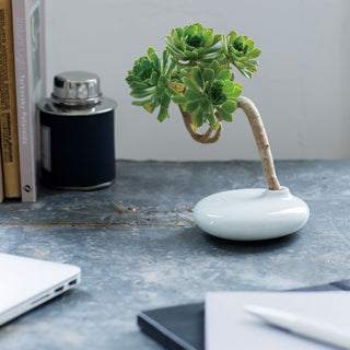Photo of KINTO SACCO Vase 01 ( ) [ KINTO ] [ Vase ]